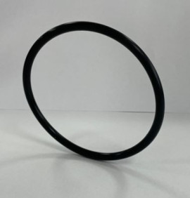 O Ring Vakuumtrockner für ULTRA 150 - Vakuumkammer
Go - 341V - O Ring D100 